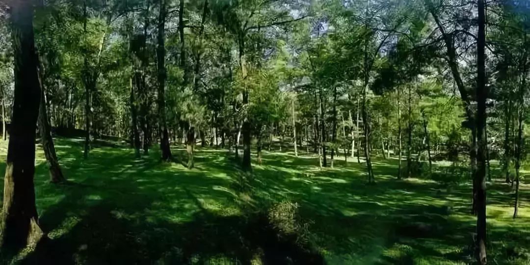 分享|什么?贵州5个公园入选国家级名单,但这两个,连资深玩家都没听说过