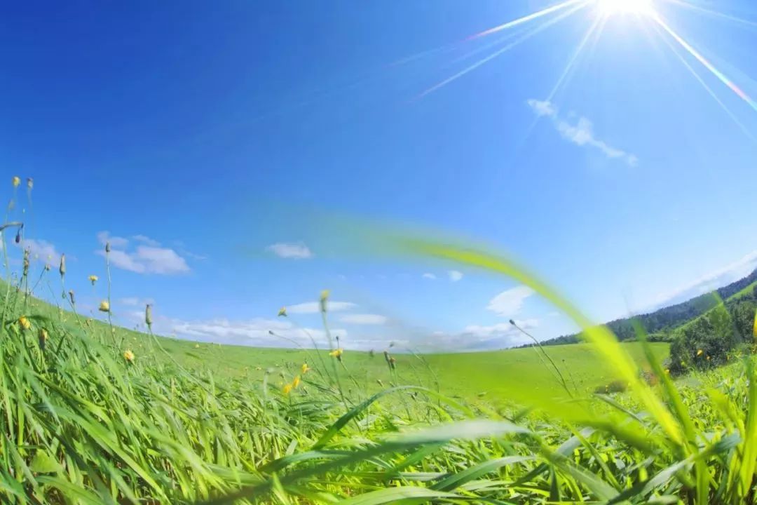 发展积极健康的党内政治文化,党内政治文化建设包括哪些内容