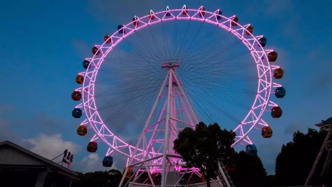 上海野生动物园游览攻略,上海野生动物园的旅游路线示意图