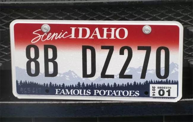 爱达荷马铃薯,爱达荷大土豆