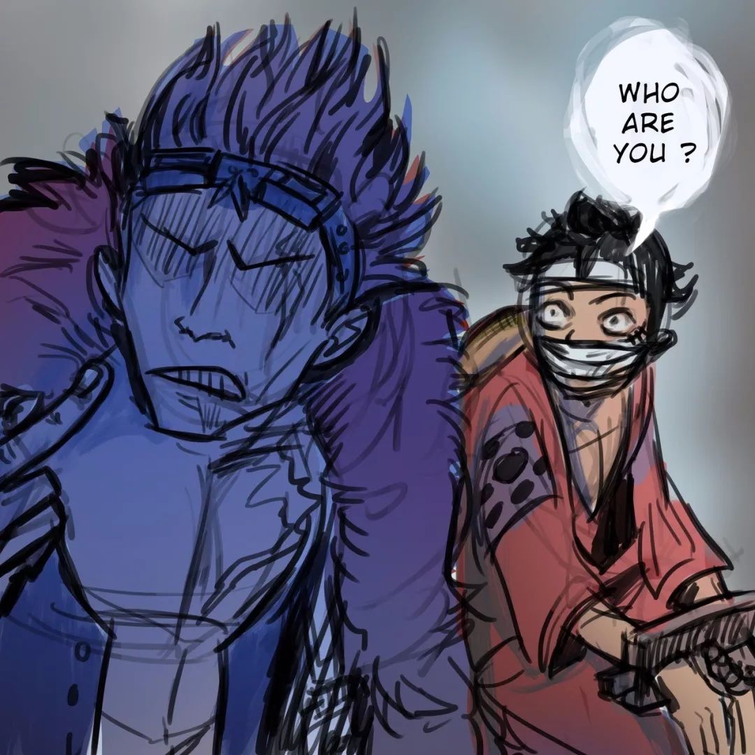 海贼王基德有霸王色霸气吗哪一集,海贼王基德有霸王色霸气吗