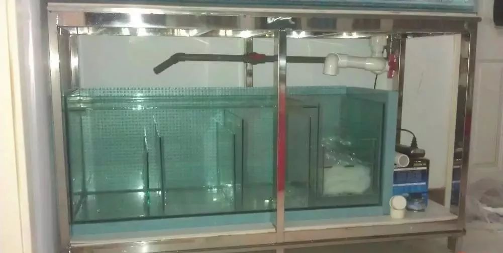 3000左右diy,diy3000元主机