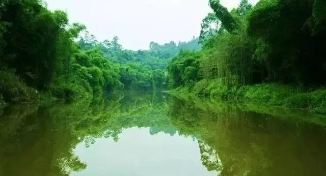 不必远行自有风景,不必远行在家度假