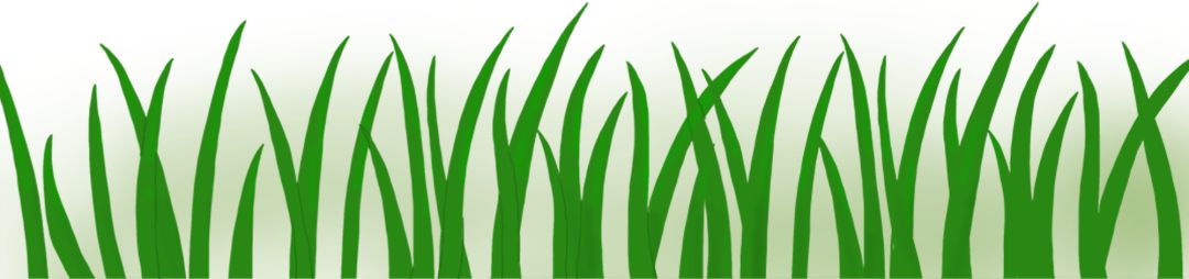 苏轼诗词文集中华书局,苏轼诗文鉴赏辞典珍藏本