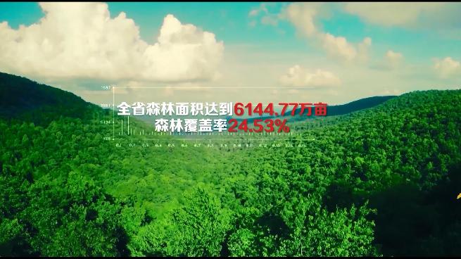 河南光山望山望水塑造美丽乡愁,河南老家乡音乡愁