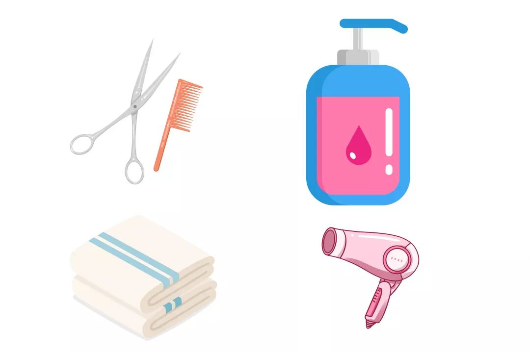 用硫磺皂给猫咪洗澡,猫咪不肯洗澡怎么办