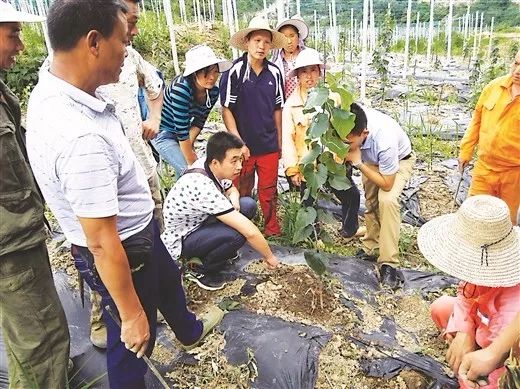 桂字号特色产品宣传语,桂字号产品