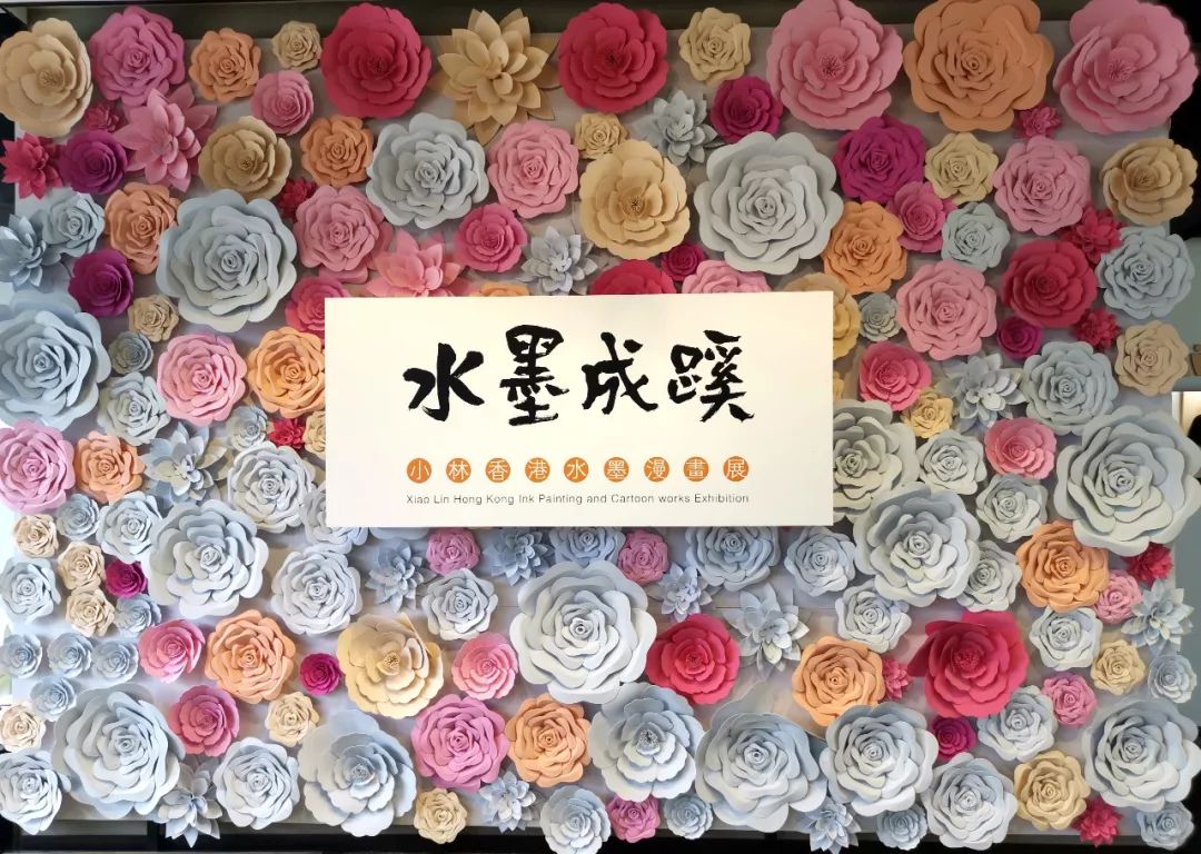 央视小林,央视新闻表扬小林的视频