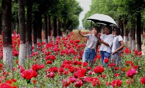 错过等一年,错过等一年歌曲视频