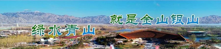 凉爽一夏解锁绝佳的夏日避暑胜地,避暑就来这里尽享夏日