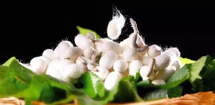 评上优秀一定是好事吗,湖州好东西推荐