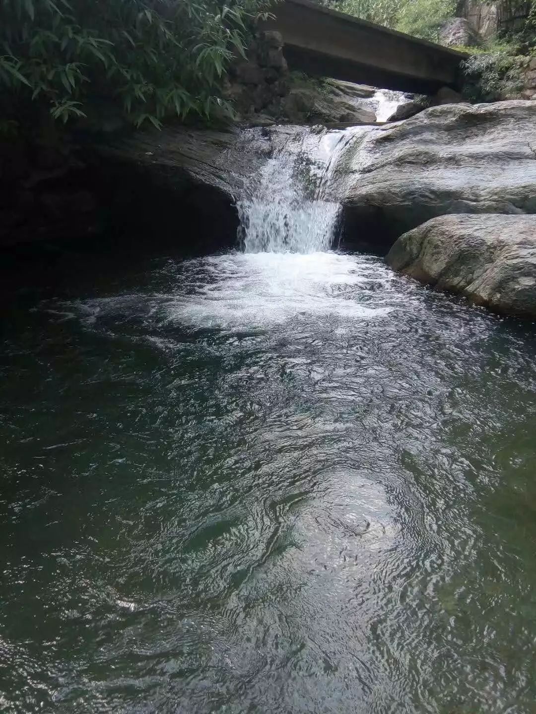 拒绝人从众模式,拒绝人从众的意思