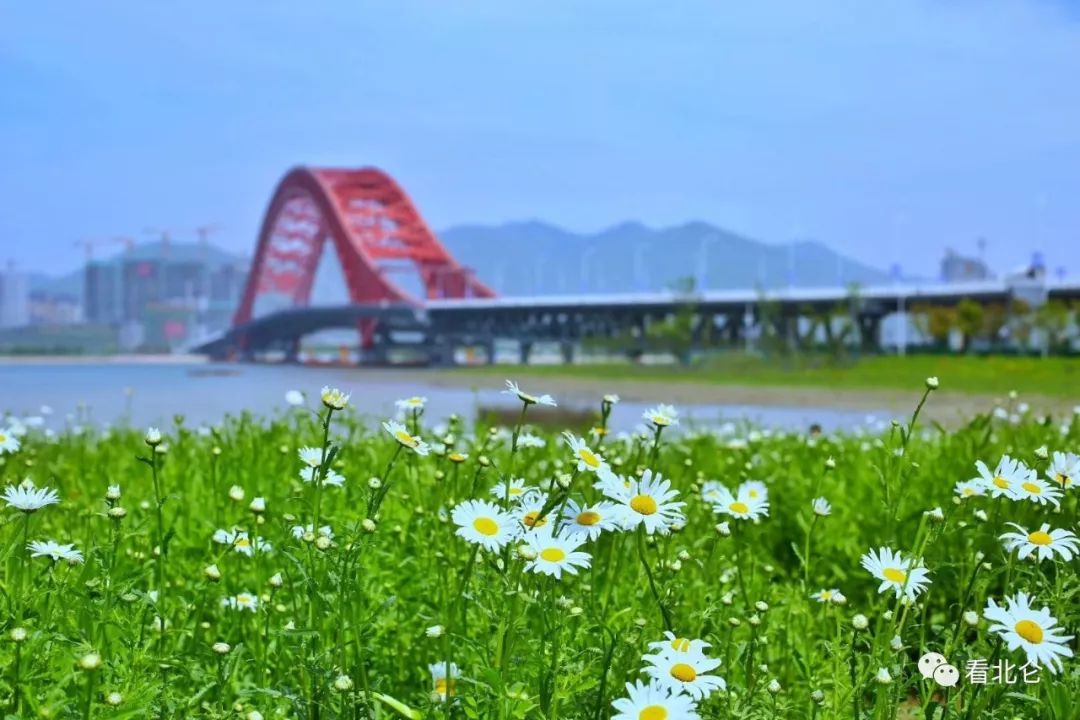 宁波北仑太白山游步道攻略,北仑区最适合徒步的风景区