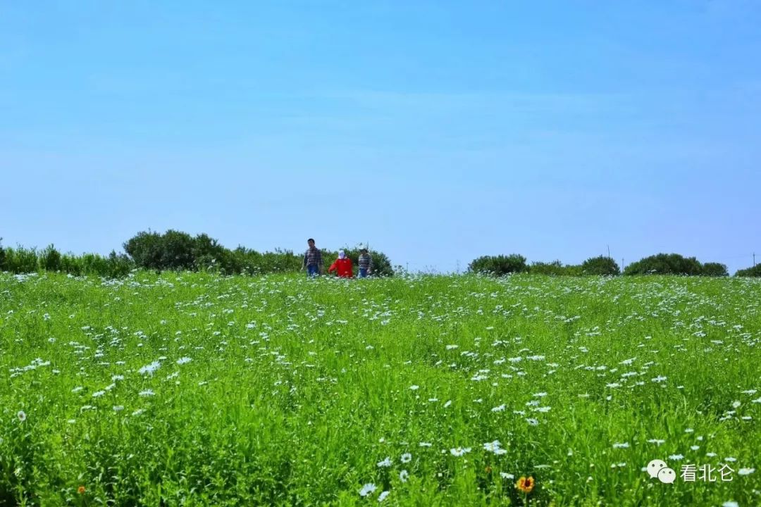 宁波北仑太白山游步道攻略,北仑区最适合徒步的风景区