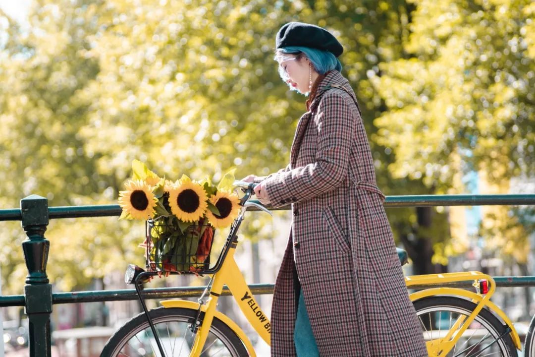 去荷兰旅游路线攻略,荷兰旅游交通攻略