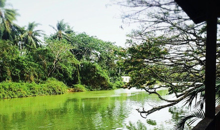 亚庇值得去吗,亚庇看日落餐厅