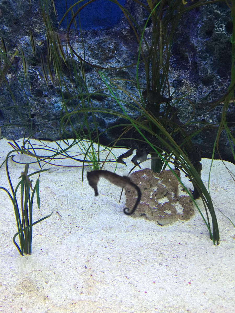 首尔一天三顿饭的花销,首尔自由行花销