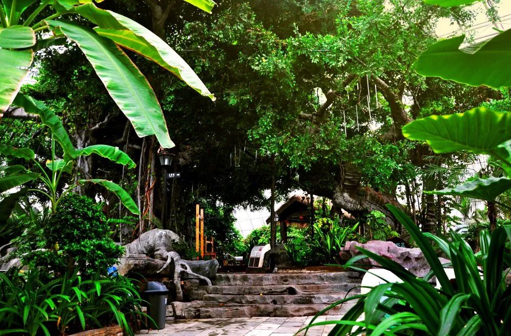 如果不打开这篇文章，你永远不会知道沧州居然可以这么好玩|漫游冀（12）