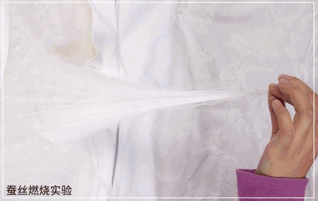 央视曝光蚕丝被长期盖,桑蚕丝真丝被曝光