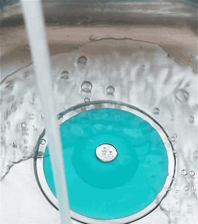 家里有小飞虫和蟑螂,家里装了纱窗还是有小蚊子能进来