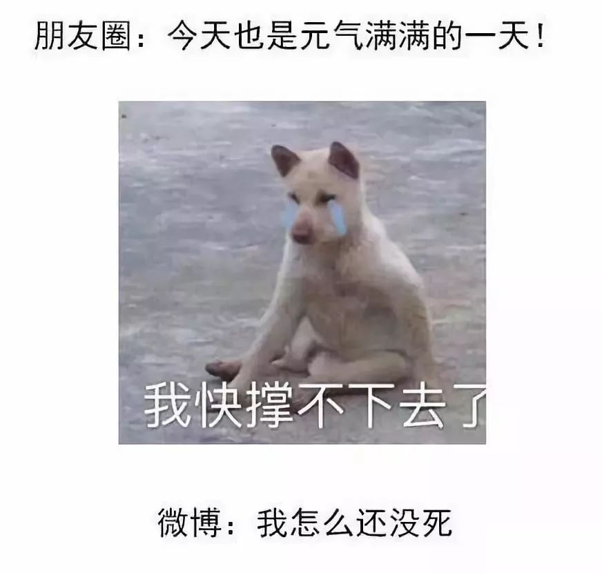 微信迎来更新朋友圈发生大变化,微信新功能朋友圈bug