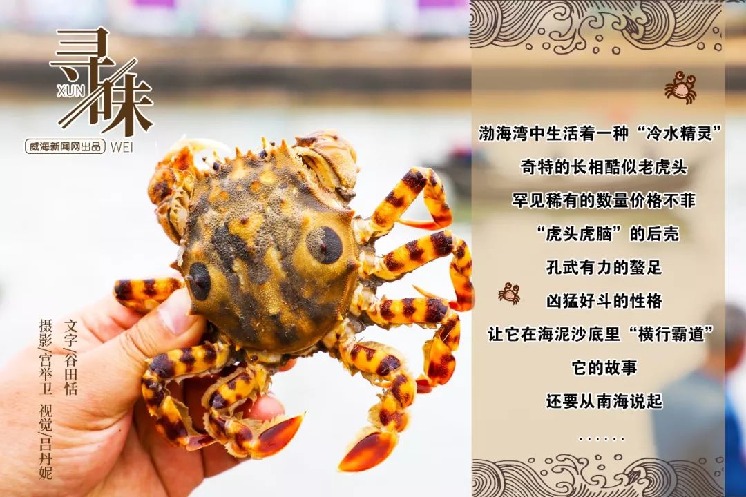 寻味海鲜大闸蟹,寻味小龙虾大闸蟹