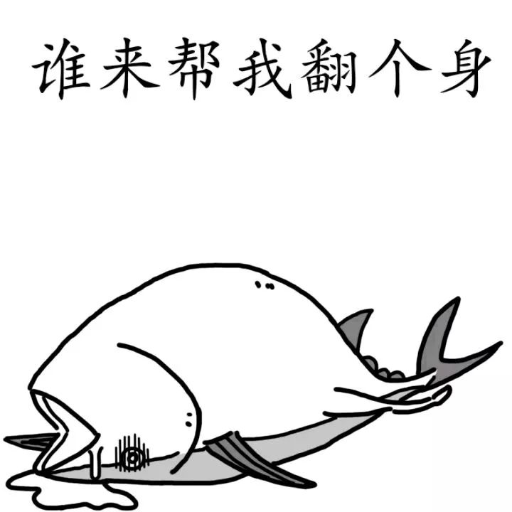 香港人以后杀鱼都要“安乐死”了？否则犯法！？