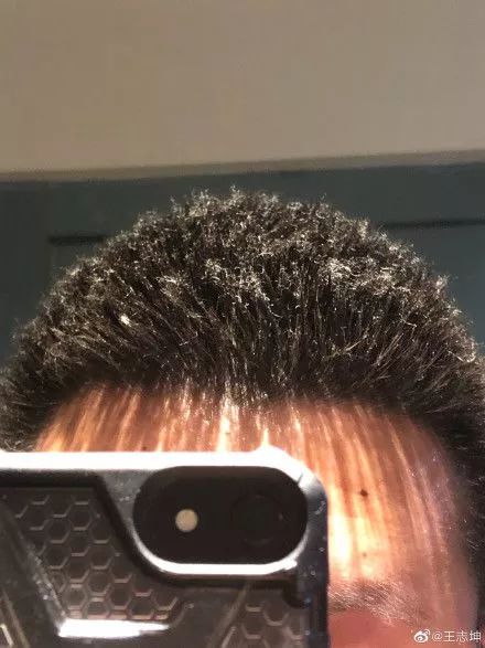 最近过半中国人都在噗噗噗呸呸，一开门，心里飘过一万头羊驼…