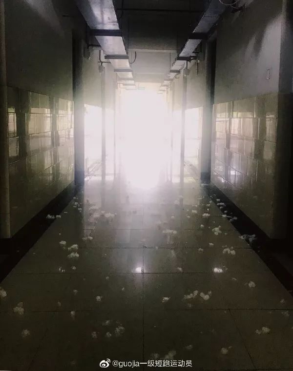 最近过半中国人都在噗噗噗呸呸，一开门，心里飘过一万头羊驼…