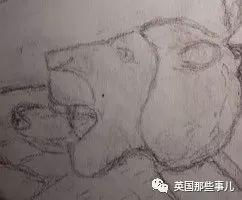 离奇事件之谜揭开,离奇事件未解之谜视频