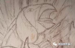 离奇事件之谜揭开,离奇事件未解之谜视频