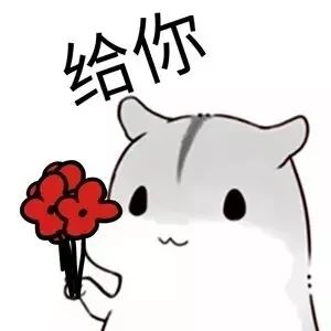 仅剩今天!赶紧拿上这份攻略去看你心水的公租房吧