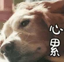 黄梅未来一周有雨吗,今年黄梅雨水多吗