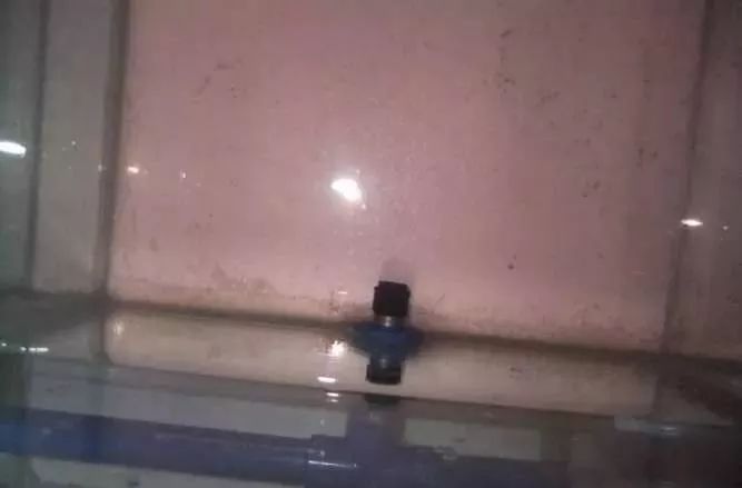 1.5米生态缸的用料及造景,1.2米的缸适合做什么缸