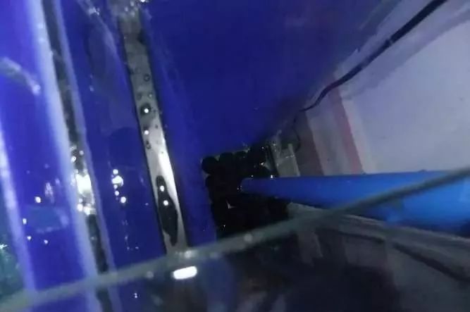 1.5米生态缸的用料及造景,1.2米的缸适合做什么缸