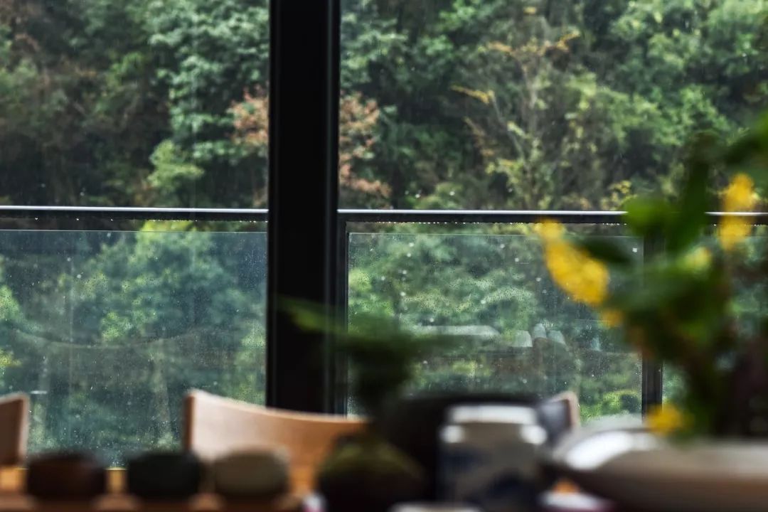 不必去芬兰了，杭州高铁1h就藏着一万颗星星的玻璃屋，过2天山野生活正好！