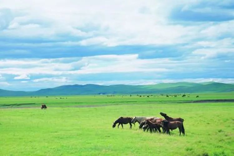 12月份出国亲子游,出国亲子游哪些国家合适