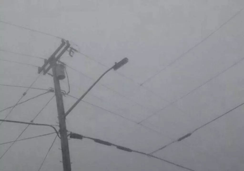 村上春树拒绝生育是真的吗,村上春树拒绝吃中国菜