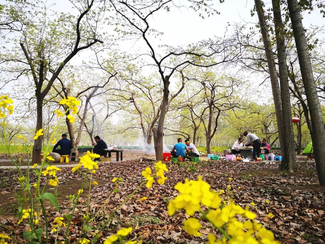 你为什么留在薛城？这是我听过的最好的理由！