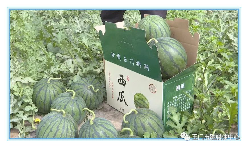 澹附70骞村鏂楁柊鏃朵唬瀹佸鍥哄師,澹附70骞村鏂楁柊鏃朵唬鍙戝睍缁艰堪