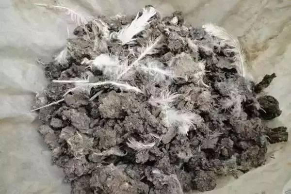 鸡粪羊粪牛粪哪种当肥料好,鸡粪羊粪猪粪牛粪哪个做营养土好