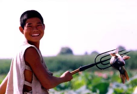 一起走吧粤语歌曲,一起走吧背起行囊