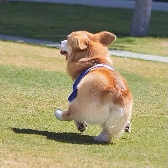 把我设置成不可见了是什么心态,为什么有人把朋友圈设成三天可见