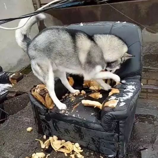 朋友圈设成三天可见代表着什么,有时候把朋友圈设成三天可见