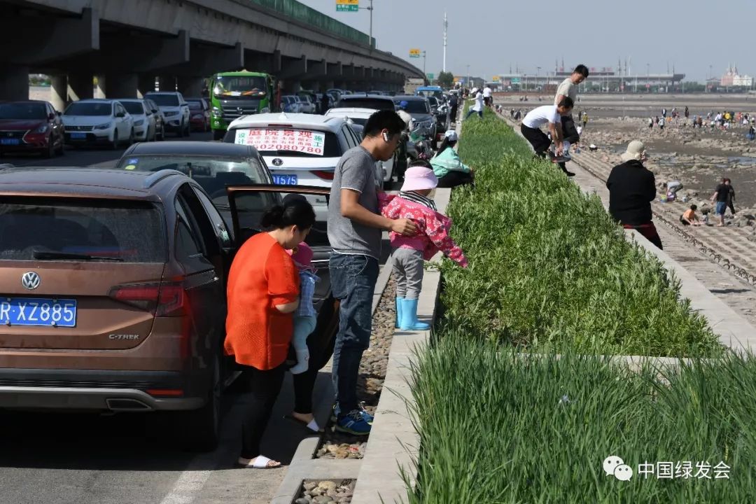 天津遗鸥保护,遗鸥国家自然保护区
