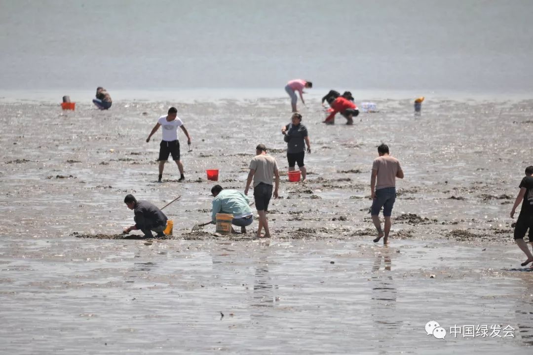 天津遗鸥保护,遗鸥国家自然保护区