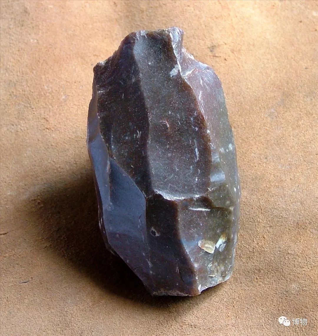 脑子进水了后悔不,脑子进水了掉井里