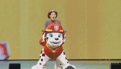 汪汪队冬日奇幻秀,汪汪队奇幻冰雪节