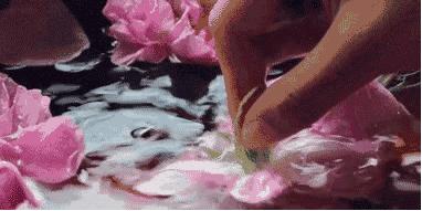 五月芬芳之旅，与你相约海安大马士革*瑰园玫**