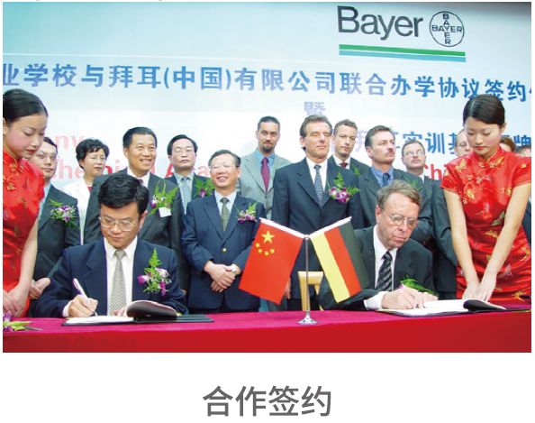 就业前景和招收率高的学校,金山职业学院就业率